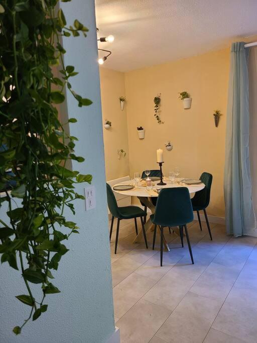 Joli Studio Renove Situe Au Pied Des Thermes Amélie-les-Bains-Palalda Zewnętrze zdjęcie