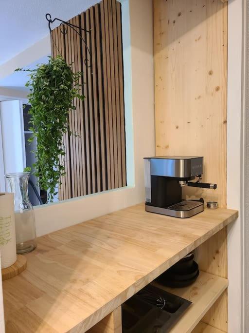 Joli Studio Renove Situe Au Pied Des Thermes Amélie-les-Bains-Palalda Zewnętrze zdjęcie