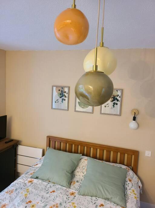 Joli Studio Renove Situe Au Pied Des Thermes Amélie-les-Bains-Palalda Zewnętrze zdjęcie