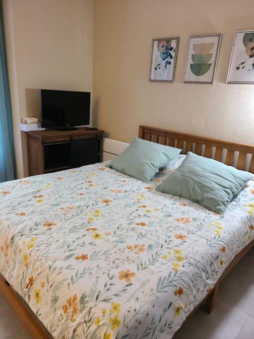 Joli Studio Renove Situe Au Pied Des Thermes Amélie-les-Bains-Palalda Zewnętrze zdjęcie